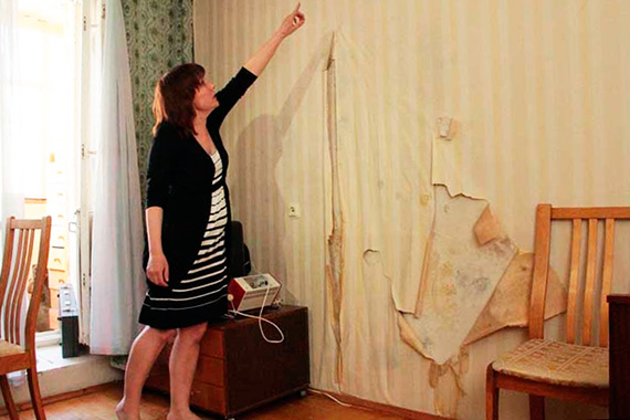 Плесень на обоях: как убрать и профилактика Уход за обоями